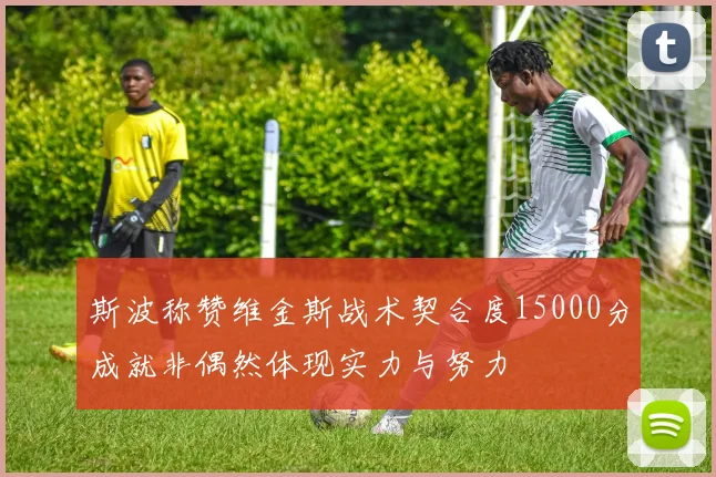 斯波称赞维金斯战术契合度15000分成就非偶然体现实力与努力