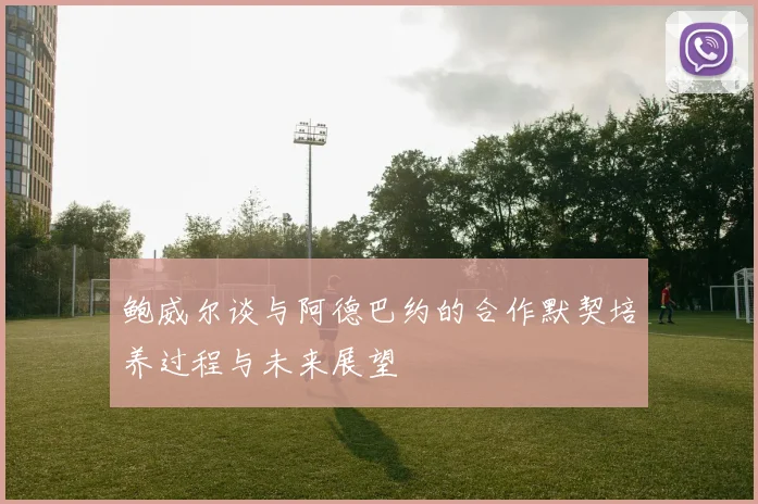 鲍威尔谈与阿德巴约的合作默契培养过程与未来展望