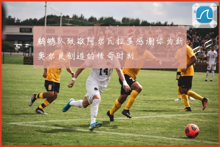 鹈鹕队致敬阿尔瓦拉多感谢你为新奥尔良创造的传奇时刻