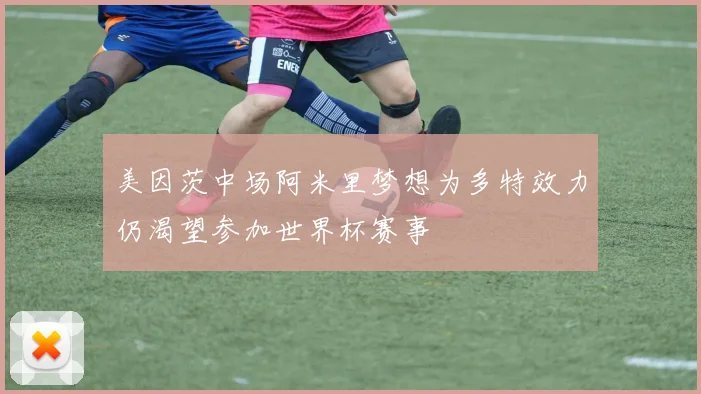 美因茨中场阿米里梦想为多特效力仍渴望参加世界杯赛事