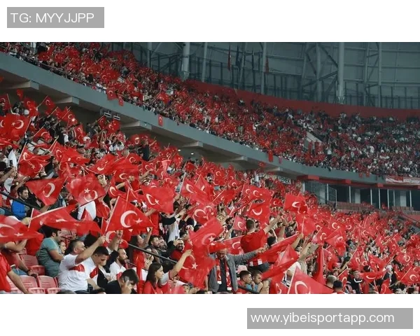 土耳其足协宣布149名裁判因涉赌被禁赛67名裁判上诉遭驳回